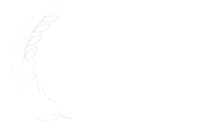 Best Animation 2025