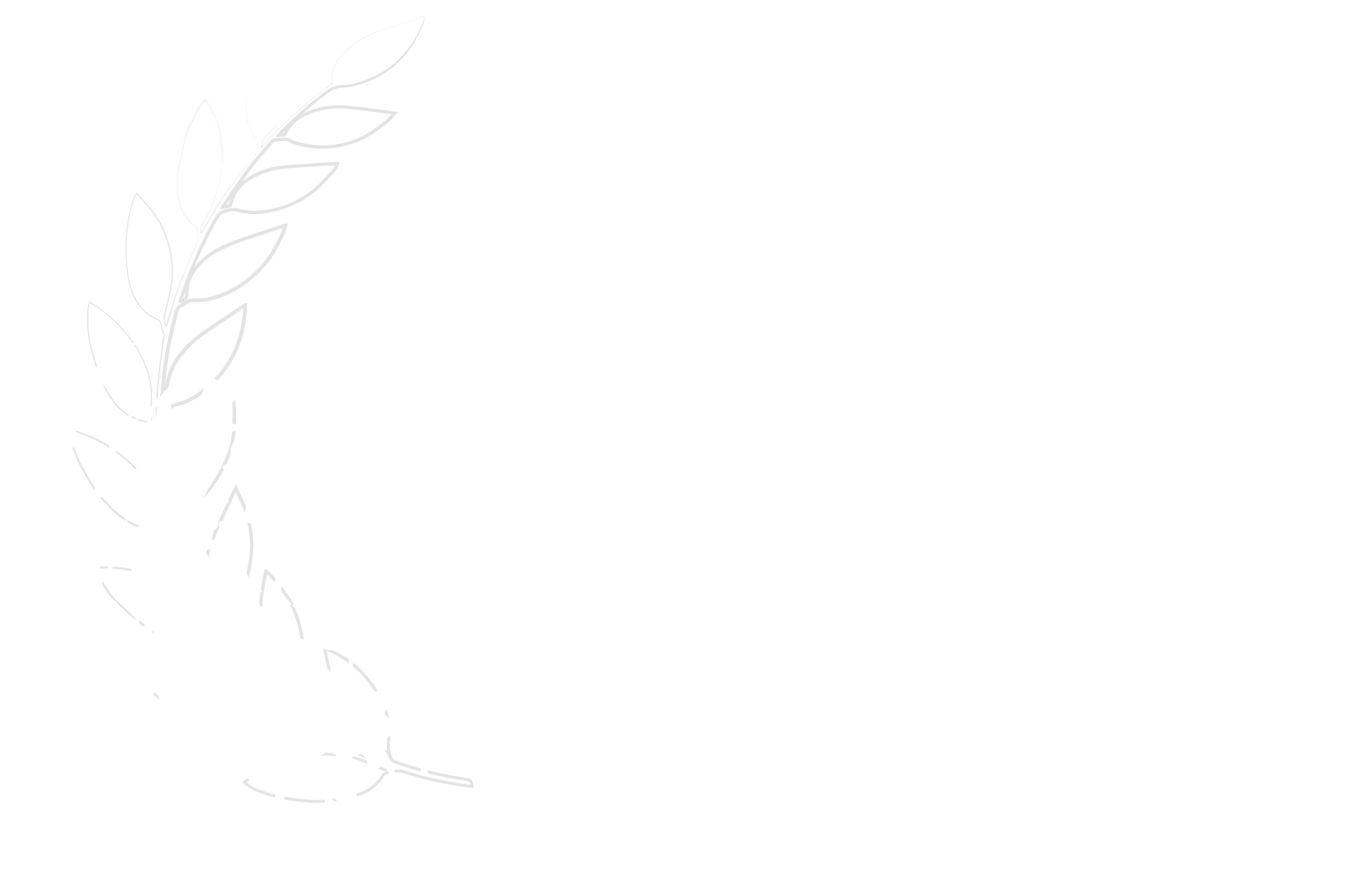 Audience Award
