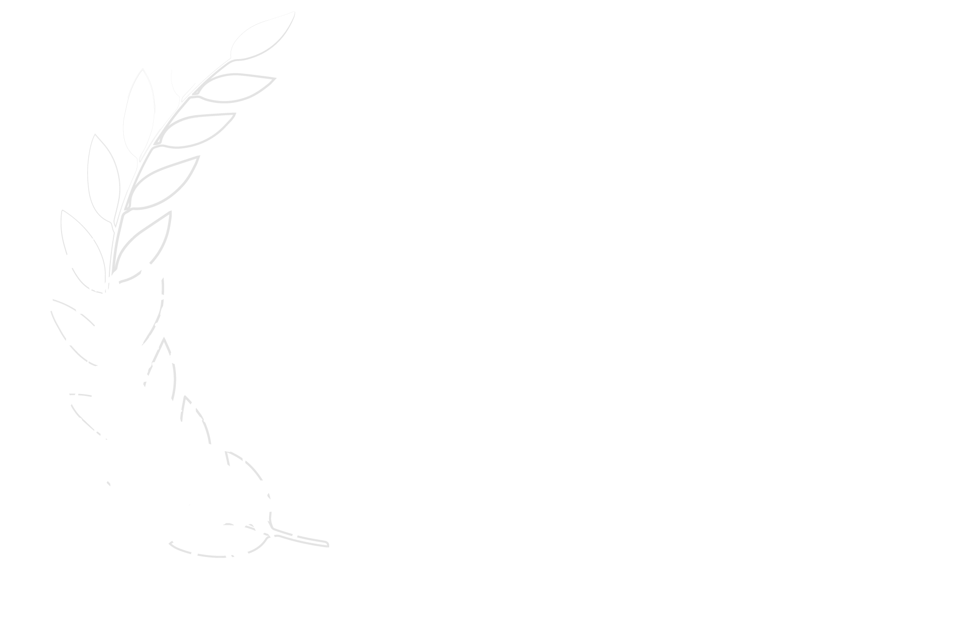 Audience Award 2025