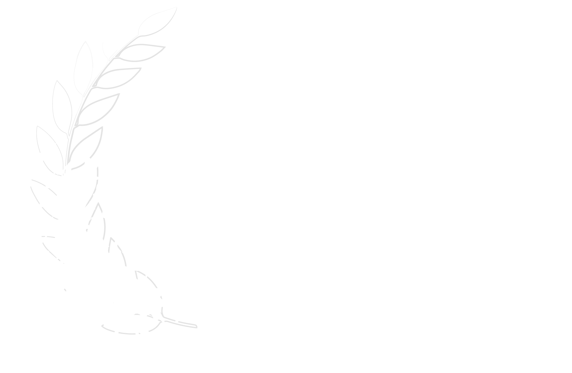 Best TV Pilot