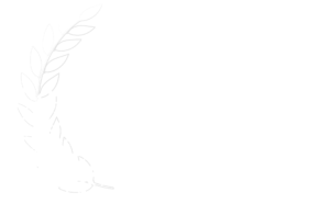 Best TV Pilot 2025