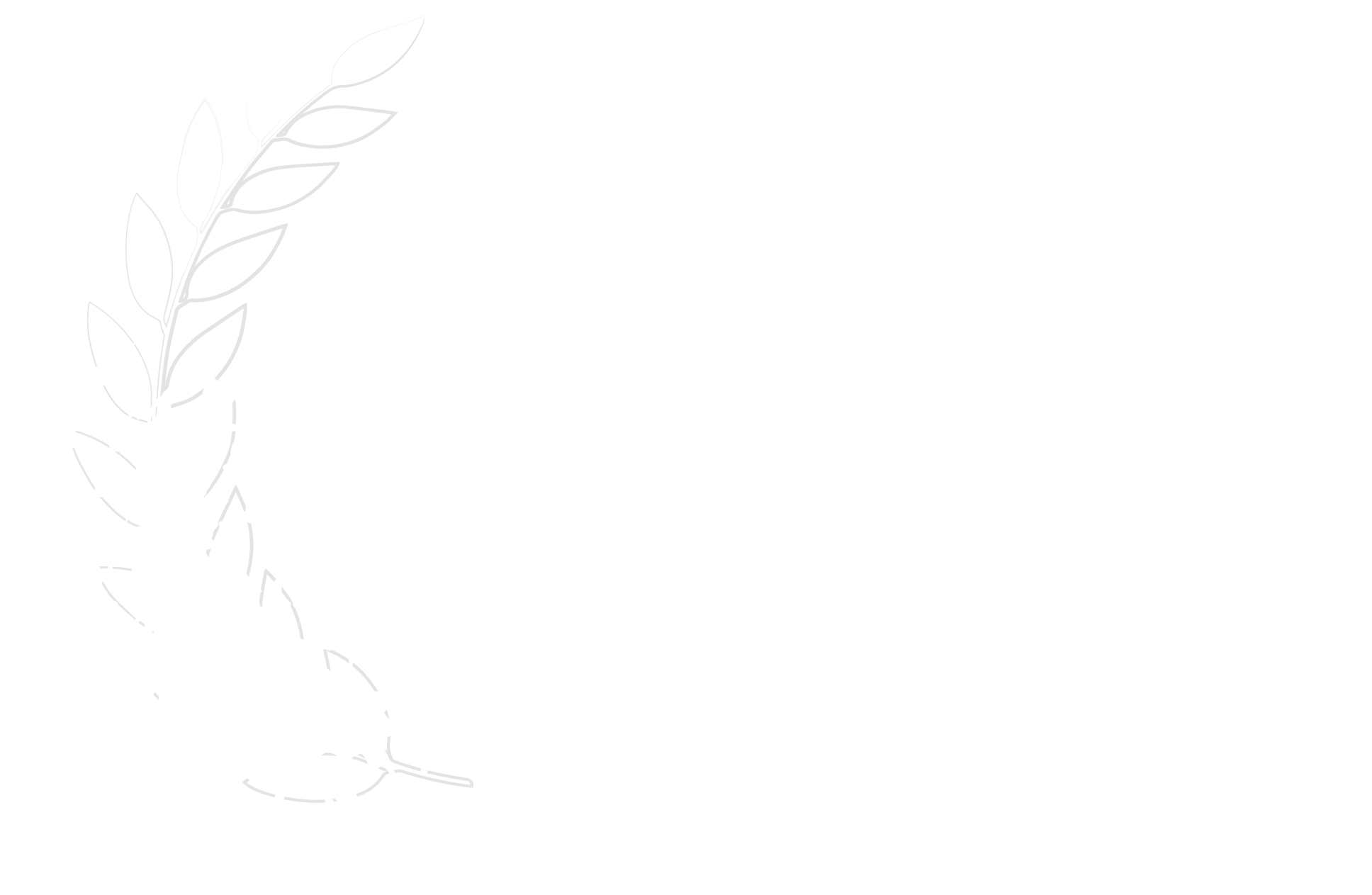 Best TV Pilot 2025