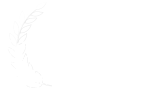 Best Experimental Film 2025