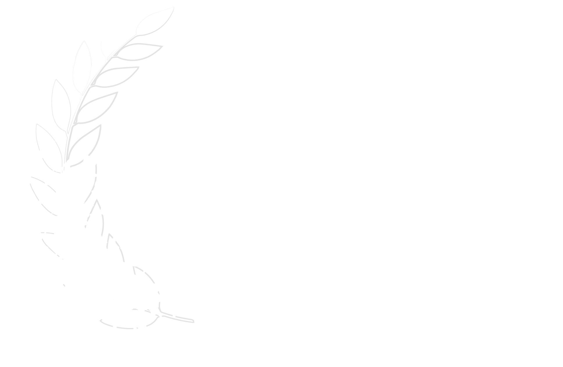Best Experimental Film 2025