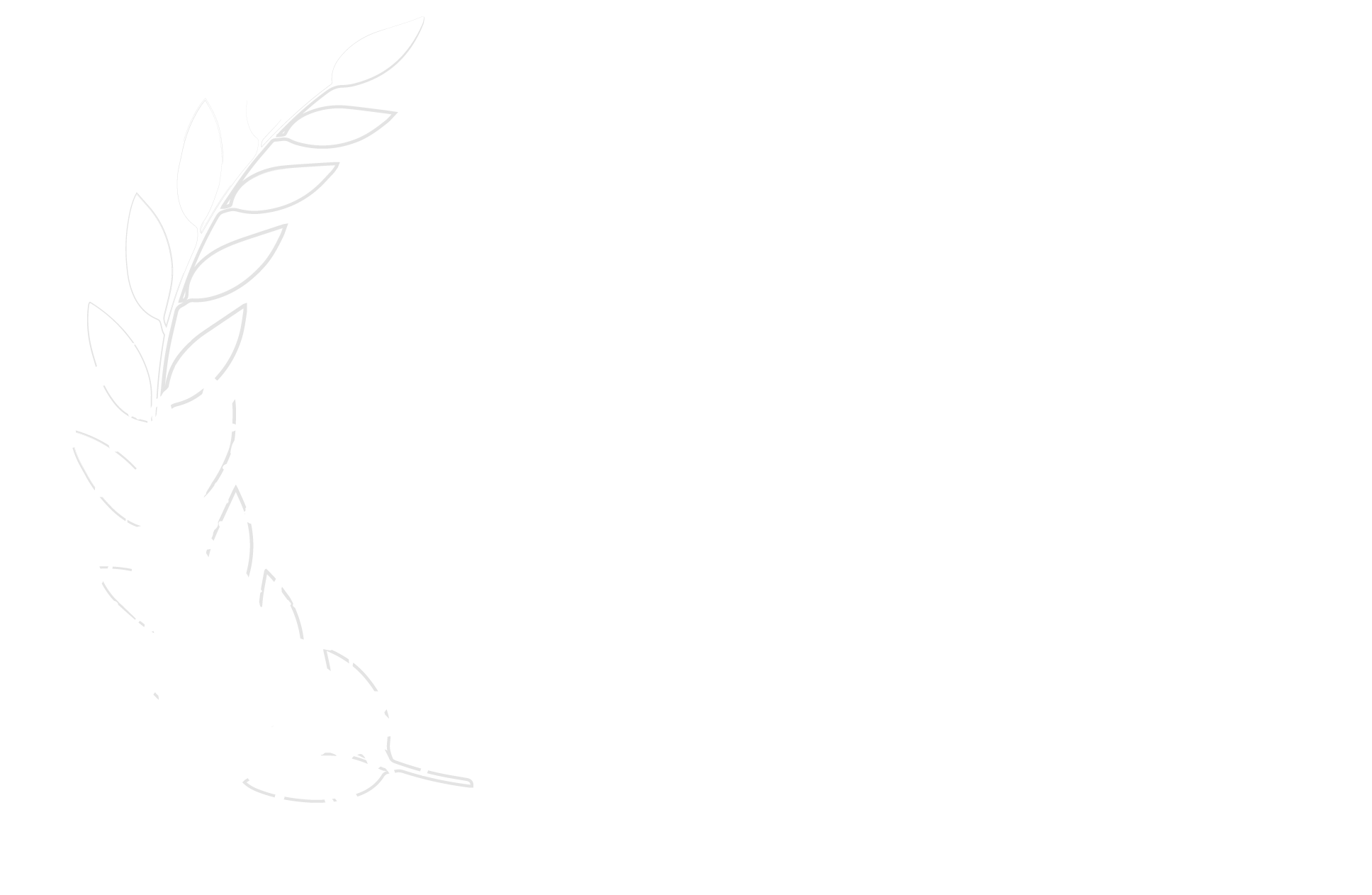 Best Short Doc