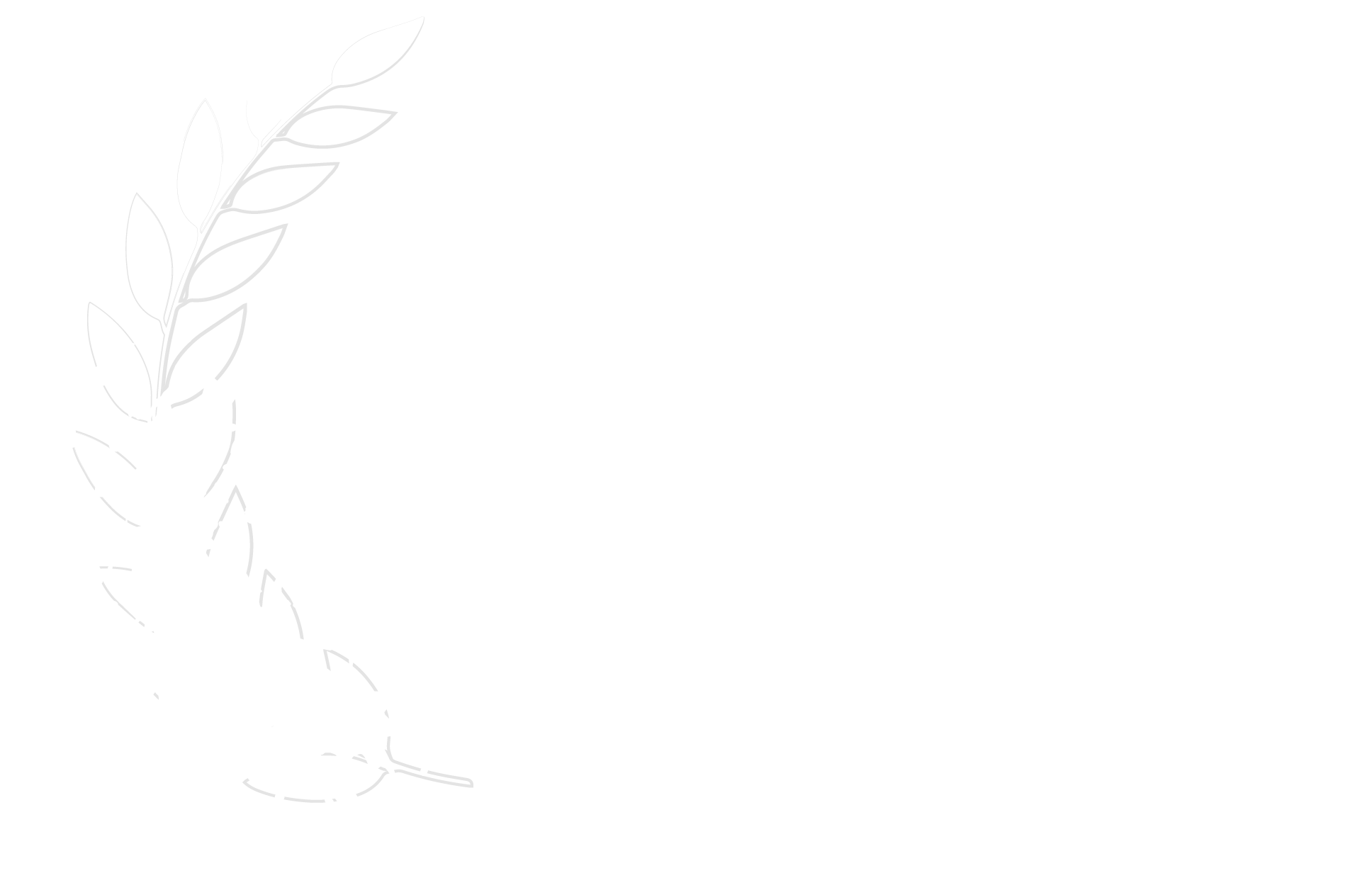 Best Short Doc 2025