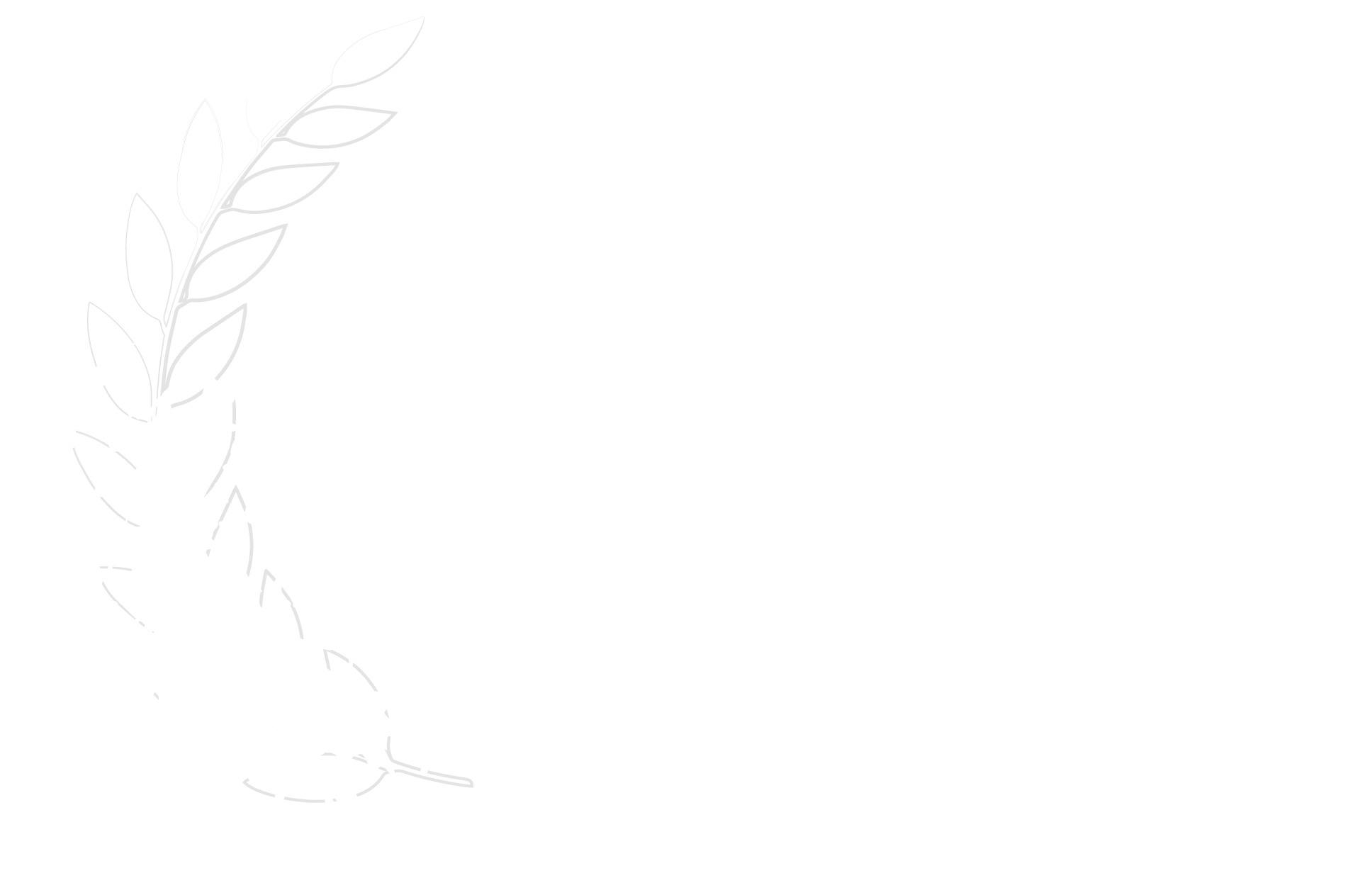 Best Short Film 2025